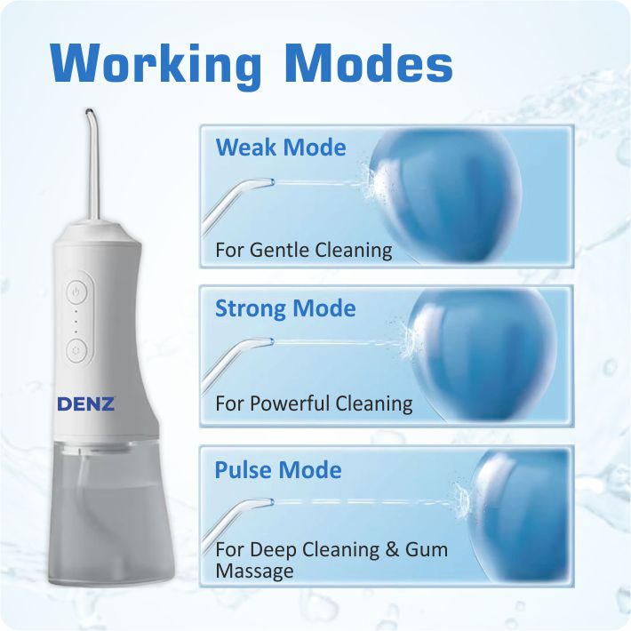 DENZ Water Flosser