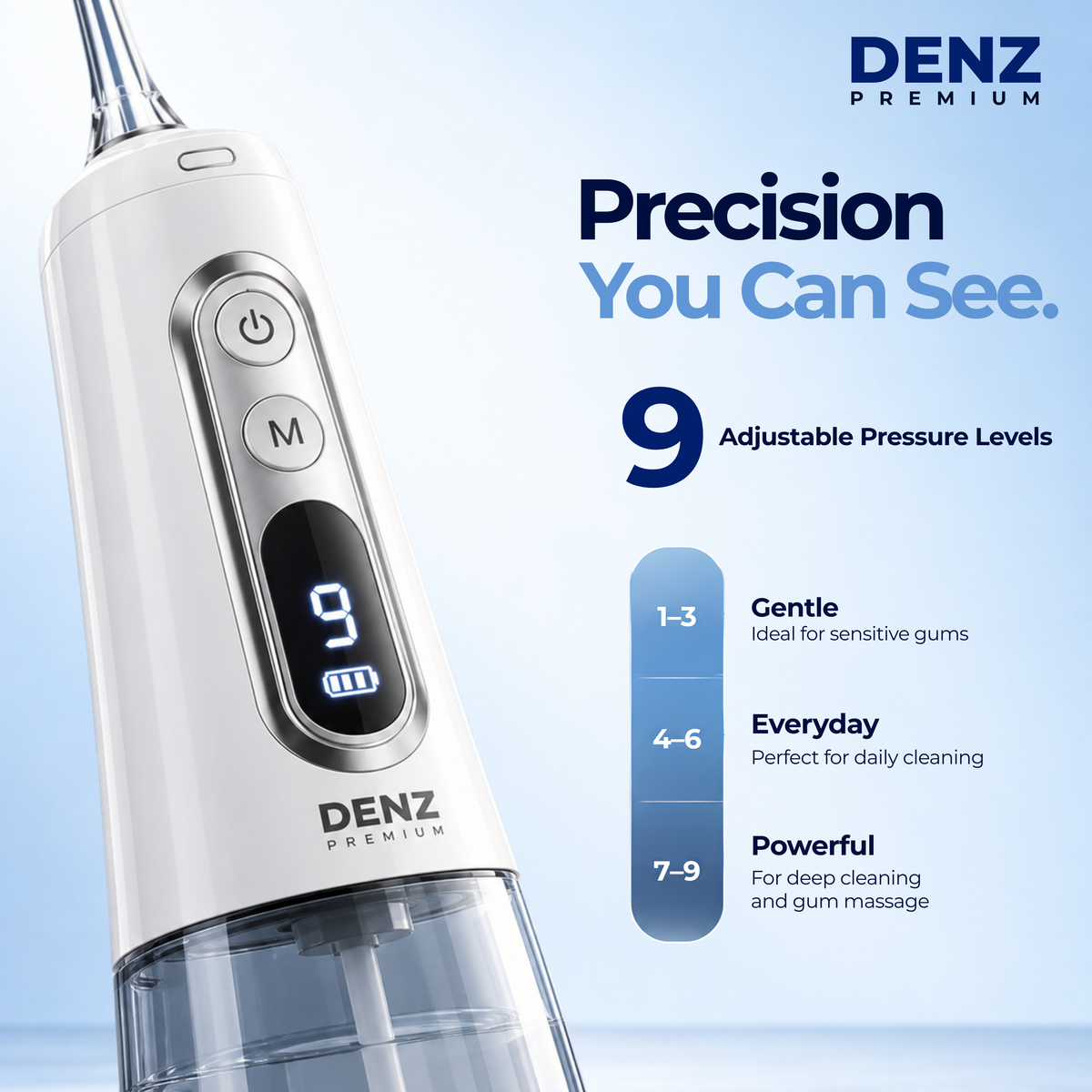 DENZ Premium Cordless Water Flosser, 300 ml Tank