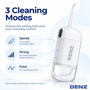 DENZ Portable Water Flosser