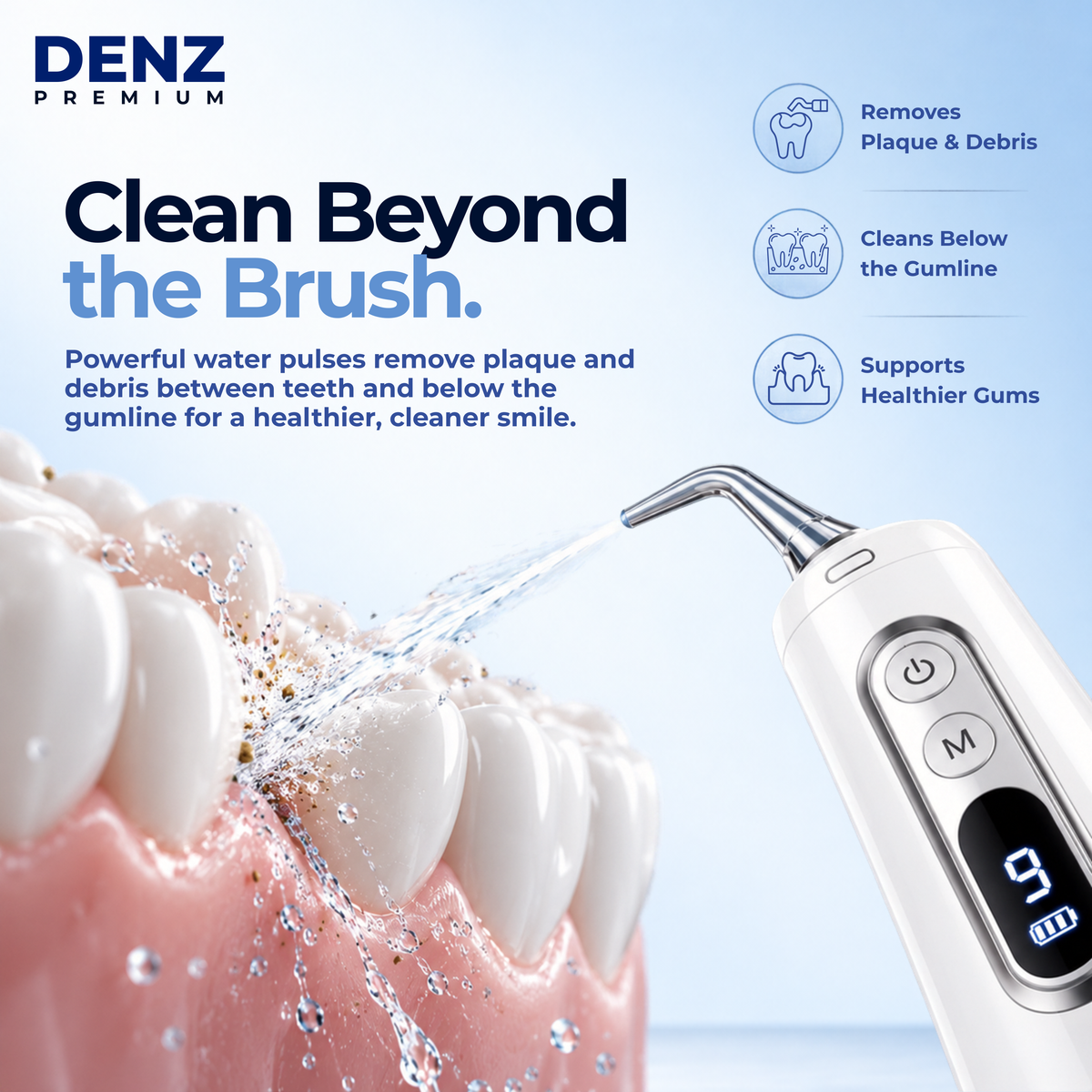 DENZ Premium Cordless Water Flosser, 300 ml Tank