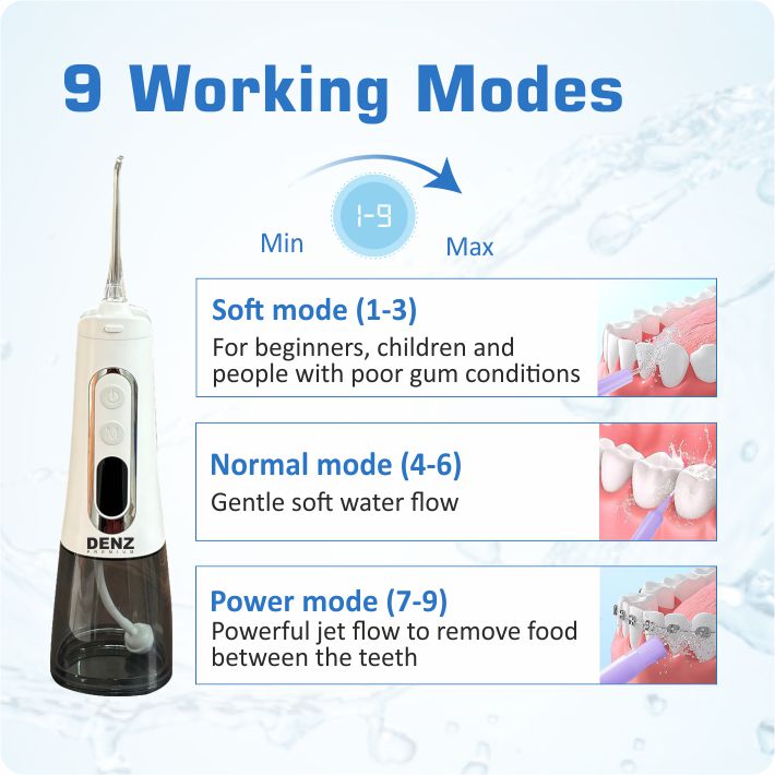 DENZ Premium Water Flosser