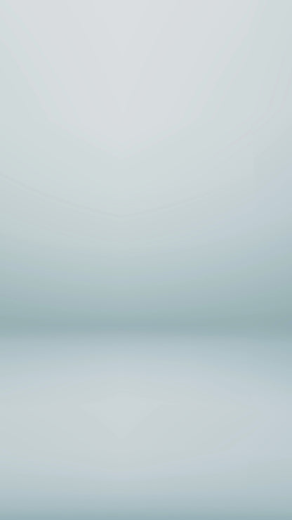 DENZ Premium Water Flosser