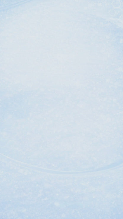 DENZ Premium Water Flosser